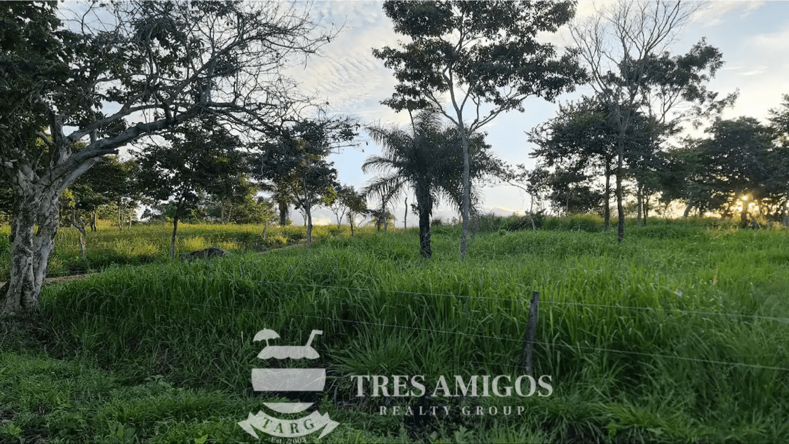 MOUNTAIN VIEW ECOFARM Playas del Coco Properties Costa Rica Real